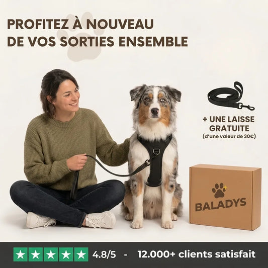 HARNAIS ANTI-TRACTION BALADYS™