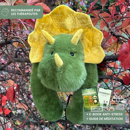 Câlinoux™ - Peluche lestée pour un câlin sans fin
